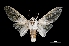  ( - MAL-03553)  @14 [ ] Unspecified (default): All Rights Reserved  Unspecified Unspecified