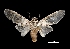  ( - MAL-03554)  @14 [ ] Unspecified (default): All Rights Reserved  Unspecified Unspecified