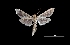  ( - MAL-03674)  @14 [ ] Unspecified (default): All Rights Reserved  Unspecified Unspecified