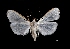  ( - MAL-03607)  @14 [ ] Unspecified (default): All Rights Reserved  Unspecified Unspecified
