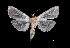  ( - MAL-03787)  @13 [ ] Unspecified (default): All Rights Reserved  Unspecified Unspecified