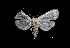  ( - MAL-03797)  @13 [ ] Unspecified (default): All Rights Reserved  Unspecified Unspecified
