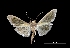 ( - MAL-03791)  @11 [ ] Unspecified (default): All Rights Reserved  Unspecified Unspecified