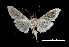  ( - MAL-03791)  @11 [ ] Unspecified (default): All Rights Reserved  Unspecified Unspecified