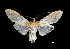  ( - MAL-03778)  @13 [ ] Unspecified (default): All Rights Reserved  Unspecified Unspecified