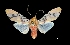  ( - MAL-03775)  @14 [ ] Unspecified (default): All Rights Reserved  Unspecified Unspecified