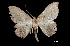  ( - MAL-03713)  @13 [ ] Unspecified (default): All Rights Reserved  Unspecified Unspecified