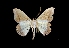  ( - MAL-03713)  @13 [ ] Unspecified (default): All Rights Reserved  Unspecified Unspecified