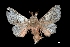  (Aidos amanda - MAL-03759)  @14 [ ] Unspecified (default): All Rights Reserved  Unspecified Unspecified