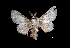  ( - MAL-03759)  @13 [ ] Unspecified (default): All Rights Reserved  Unspecified Unspecified
