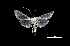  ( - MAL-03718)  @13 [ ] Unspecified (default): All Rights Reserved  Unspecified Unspecified