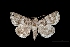  ( - MAL-03762)  @13 [ ] Unspecified (default): All Rights Reserved  Unspecified Unspecified