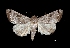  ( - MAL-03750)  @14 [ ] Unspecified (default): All Rights Reserved  Unspecified Unspecified