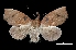  ( - MAL-03768)  @14 [ ] Unspecified (default): All Rights Reserved  Unspecified Unspecified