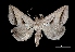  ( - MAL-03772)  @14 [ ] Unspecified (default): All Rights Reserved  Unspecified Unspecified