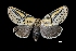  ( - MAL-03702)  @14 [ ] Unspecified (default): All Rights Reserved  Unspecified Unspecified