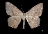  ( - MAL-03808)  @13 [ ] Unspecified (default): All Rights Reserved  Unspecified Unspecified