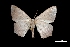  ( - MAL-03808)  @13 [ ] Unspecified (default): All Rights Reserved  Unspecified Unspecified
