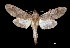  ( - MAL-03827)  @14 [ ] Unspecified (default): All Rights Reserved  Unspecified Unspecified