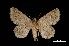  ( - MAL-03504)  @13 [ ] Unspecified (default): All Rights Reserved  Unspecified Unspecified