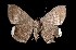  ( - MAL-03505)  @13 [ ] Unspecified (default): All Rights Reserved  Unspecified Unspecified
