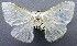  ( - USNM ENT 00267618)  @12 [ ] Unspecified (default): All Rights Reserved  Unspecified Unspecified