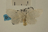  ( - USNM ENT 00933940)  @13 [ ] Unspecified (default): All Rights Reserved  Unspecified Unspecified