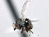  ( - CCDB-21321-D07)  @13 [ ] CreativeCommons - Attribution (2014) CBG Photography Group Centre for Biodiversity Genomics
