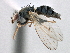  ( - CCDB-21321-D10)  @15 [ ] CreativeCommons - Attribution (2014) CBG Photography Group Centre for Biodiversity Genomics