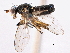  ( - CCDB-21321-G12)  @11 [ ] CreativeCommons - Attribution (2014) CBG Photography Group Centre for Biodiversity Genomics