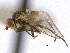  ( - CCDB-21326-A12)  @11 [ ] CreativeCommons - Attribution (2014) CBG Photography Group Centre for Biodiversity Genomics