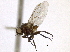  ( - CCDB-21326-B12)  @11 [ ] CreativeCommons - Attribution (2014) CBG Photography Group Centre for Biodiversity Genomics