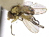  ( - CCDB-21326-D05)  @11 [ ] CreativeCommons - Attribution (2014) CBG Photography Group Centre for Biodiversity Genomics