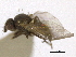 ( - CCDB-21326-F08)  @11 [ ] CreativeCommons - Attribution (2014) CBG Photography Group Centre for Biodiversity Genomics