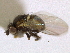  ( - CCDB-21326-H09)  @12 [ ] CreativeCommons - Attribution (2014) CBG Photography Group Centre for Biodiversity Genomics