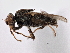  ( - CCDB-21328-B02)  @11 [ ] CreativeCommons - Attribution (2014) CBG Photography Group Centre for Biodiversity Genomics