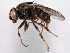  ( - CCDB-21328-B03)  @11 [ ] CreativeCommons - Attribution (2014) CBG Photography Group Centre for Biodiversity Genomics