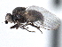  (Biorbitella - CCDB-21328-B05)  @15 [ ] CreativeCommons - Attribution (2014) CBG Photography Group Centre for Biodiversity Genomics