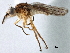  ( - CCDB-21328-C10)  @14 [ ] CreativeCommons - Attribution (2014) CBG Photography Group Centre for Biodiversity Genomics