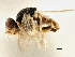  ( - CCDB-21328-G03)  @13 [ ] CreativeCommons - Attribution (2014) CBG Photography Group Centre for Biodiversity Genomics