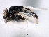  ( - CCDB-21328-G06)  @13 [ ] CreativeCommons - Attribution (2014) CBG Photography Group Centre for Biodiversity Genomics