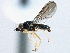  ( - CCDB-21329-A01)  @11 [ ] CreativeCommons - Attribution (2014) CBG Photography Group Centre for Biodiversity Genomics