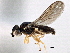  ( - CCDB-21329-A02)  @11 [ ] CreativeCommons - Attribution (2014) CBG Photography Group Centre for Biodiversity Genomics