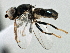  ( - CCDB-21329-B04)  @15 [ ] CreativeCommons - Attribution (2014) CBG Photography Group Centre for Biodiversity Genomics