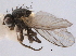  ( - CCDB-21330-A11)  @11 [ ] CreativeCommons - Attribution (2014) CBG Photography Group Centre for Biodiversity Genomics