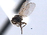  ( - CCDB-21330-A12)  @11 [ ] CreativeCommons - Attribution (2014) CBG Photography Group Centre for Biodiversity Genomics