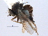  ( - CCDB-21330-B02)  @11 [ ] CreativeCommons - Attribution (2014) CBG Photography Group Centre for Biodiversity Genomics