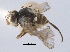  ( - CCDB-21330-B03)  @11 [ ] CreativeCommons - Attribution (2014) CBG Photography Group Centre for Biodiversity Genomics