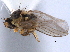  ( - CCDB-21330-B10)  @11 [ ] CreativeCommons - Attribution (2014) CBG Photography Group Centre for Biodiversity Genomics
