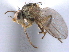  ( - CCDB-21330-B11)  @11 [ ] CreativeCommons - Attribution (2014) CBG Photography Group Centre for Biodiversity Genomics